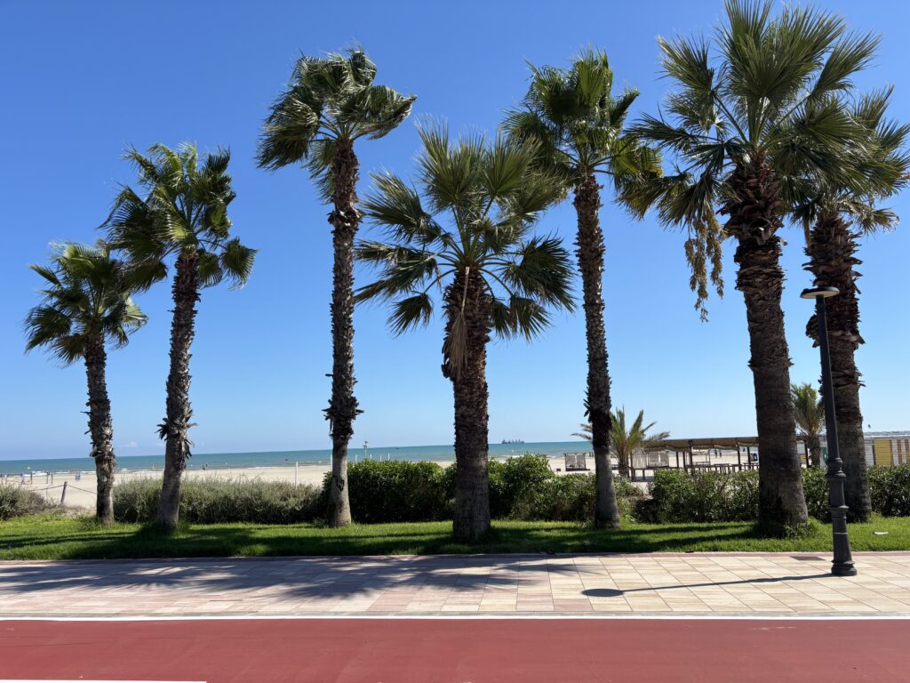 Castellón de la Plana